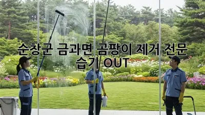 🏡 순창군 금과면 곰팡이 제거 전문, 습기 OUT! ✨